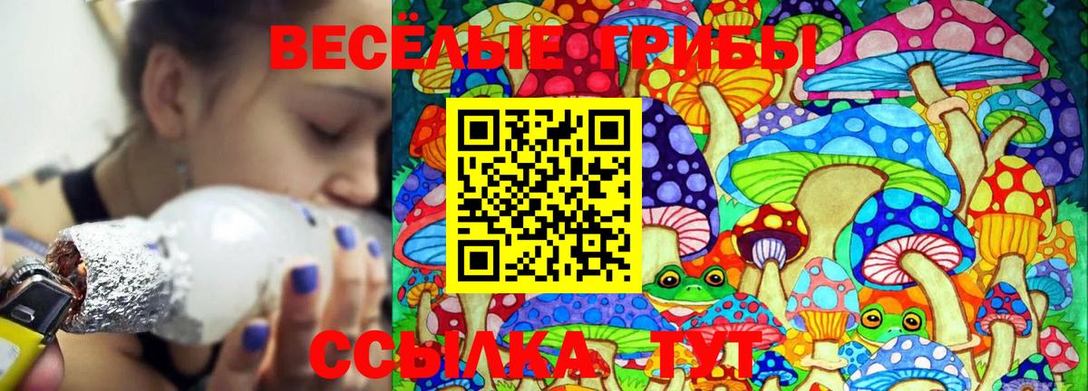 где найти наркотики  Псилоцибиновые грибы GOLDEN TEACHER  Вход с VPN  Пенза 